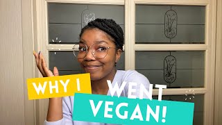 Why I went vegan || Vegan in Korea || How I went Vegan