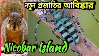 Nicobar Island | Discover 20 New Species | নতুন প্রজাতির আবিষ্কার