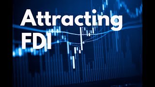 Henner Diekmann: Attracting FDI