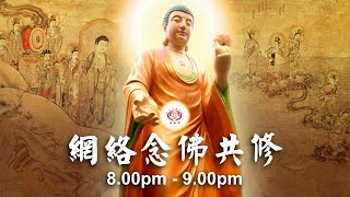 【同步】净土宗网络念佛【第1686天】+ 开示视频《与弥陀有缘》 29-10-2024 Online Recitation Session（晚上8pm-9pm (GMT+8))【打开CC字幕】