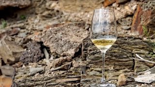 Live Wine Tasting: Minerality