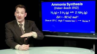 Ammonia Synthesis