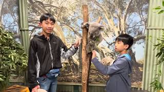 Featherdale Sydney Wildlife Park (bonus footage)