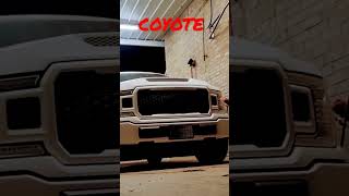 COYOTE F150 5.0 🐺