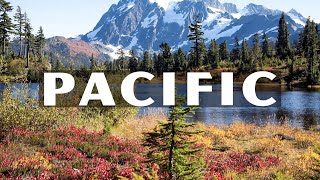 PACIFIC 4K - The Most Beautiful Paradise Island  - Scenic Relaxation Video 4K 60 FPS