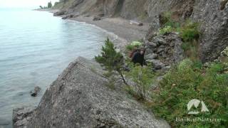 Trekking côte sud-ouest du lac Baïkal avec BaikalNature