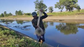 Menjala Ikan (Belajar Lempar Jala 30 Menit, Langsung Eksekusi) HASIL MEMUASKAN