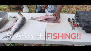 TWO WAYS TO CLEAN MULLET FISH FOR SMOKING AND FRYING #fypyoutube #howto #fish #explorepage