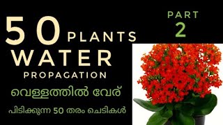 50 type plants water propagation// വെള്ളത്തിൽ വേരു പിടിച്ചു 50 തരം ചെടികൾ part 2