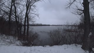 Дневник велосипедиста. В поисках Лебедей) 9 декабря