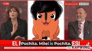 During the elections, Argentine news compared Javier Milei with Pochita