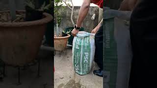 Remove Salt From Cocopeat| কোকোপিট থেকে নুন বের করবেন কী করে? #rajgardens #shortsvideo #shortsviral