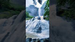 Air Terjun Indah Di Indonesia #short #birowisatasemarang #sewabussemarang #ranggawarsitatour