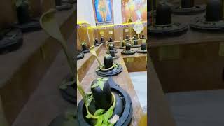 Shiv mandir #shiv #sankar #trisha #shivmandir #volanath #india #vlogsong #youtubemusic #song #newson