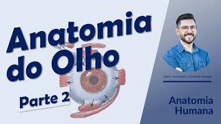 Anatomia do olho - Parte 2 - Anatomia Humana - Oftalmologia