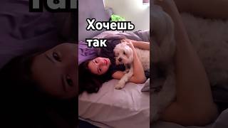 как просыпается принцесса♥️ #live #love#dog #dream #любов #життя #сон #любов #travel #світ #youtube