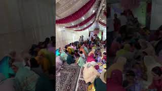 kashmiri wedding trending reels #weddingsongs