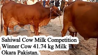 Sahiwal Cow Milk Competition 26-02-2022 LPRI Bahadurnagar Okara, Pakistan