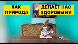 Сидячий образ жизни | как природа улучшает здоровье