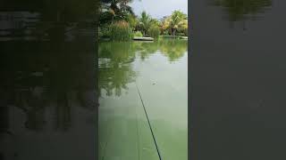 asyiknya mancing NiLA #jacksvision #mancing #jiging #fishing #mancingmania #jigging