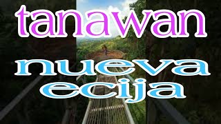 tanawan laur nueva ecija