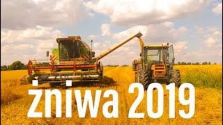 Żniwa 2019 ツ claas dominator 98 ツ renault 781-4 ツ