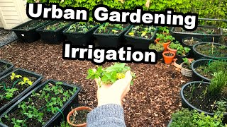 Urban gardening - Sprinkler irrigation - Apple HomeKit - Automation system