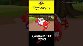 chadhei hela bhuta part1 || odia gapa || tiki chadhei gapa || odia cartoon || odia moral story