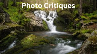 Photo Critique: Getting Feedback on Your Images