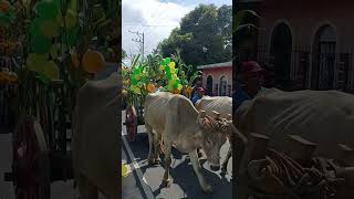 desfile de carroza en San Ramón