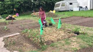 Walk with Me To My Community Allotment and Let’s Water the Plants