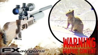 Airgun Hunting Squirrel with FX Royale 500 - GRAPHIC