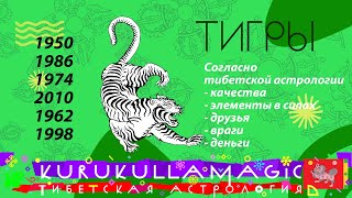 Тигры согласно тибетской астрологии. Главные силы, друзья, враги, деньги, удача.