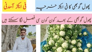 Cost of Production Cauiliflower|Expense per acre|Income per acre|Sowing of crops after cauiliflower|