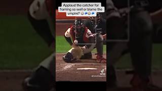 Whose to blame? ⚾️🧢 #shorts #baseball #catcher #umpire