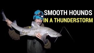 Fishing Brothers - South Wales Smooth Hounds