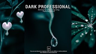 professional Natural Photography Preset | Lightroom Cinematic Dark Photography DNG & XMP Free