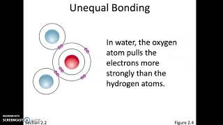 bio 11A, Module 2 Part 5 Covalent bond