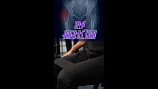 Home workout! Hip abductor #short