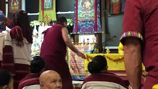 2nd Days Nyung Ne Practice with Shartul Rinpoche ! Religion Practice With Tulku Shartul Rinpoche !