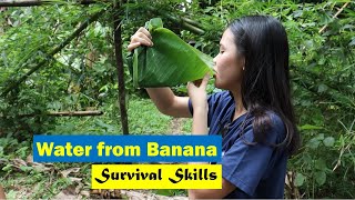 How to Get Water from Banana