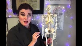 MJL Reviews: Episode 12- Skeleton Model