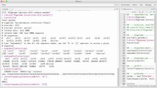 BSgenome v1