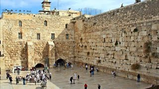 Happy go Lucky Piper visting the Old City of Jerusalem