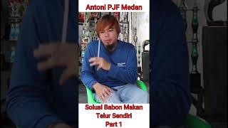 Antoni Putra Jaya Farm Medan, Berbagi ilmu dari Thailand..