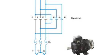 Motors and Overload Relays