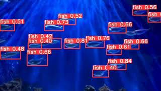 Data Labeling & Annotation for Fish Detection | Computer Vision | Image Annotation | Data Labeling