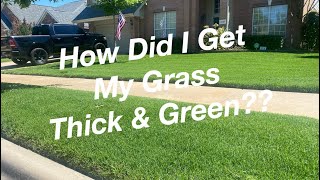 How I Get My Grass Thick & Green | Spring & Summer Ready!!