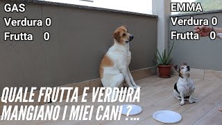 I miei cani - quale frutta e verdura mangiano ?