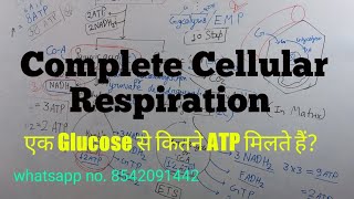 TGT PGT Biology Live class -1 Cellular respiration (ग्लूकोस का टूटना )